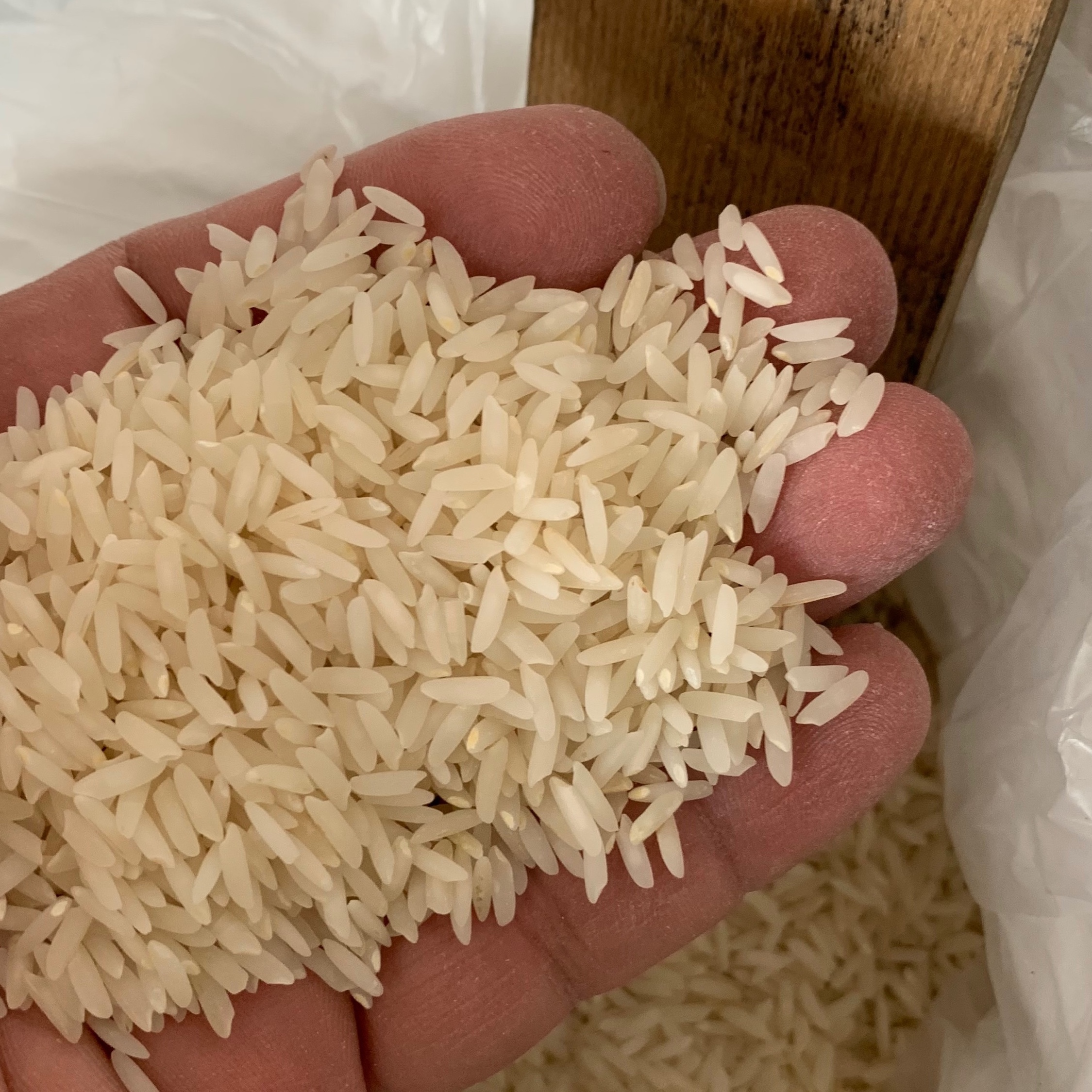 برنج فجر سوزنی گرگان بابسته بندی 10کیلویی تولید شده در شالیزارهای علی آبادکتول
