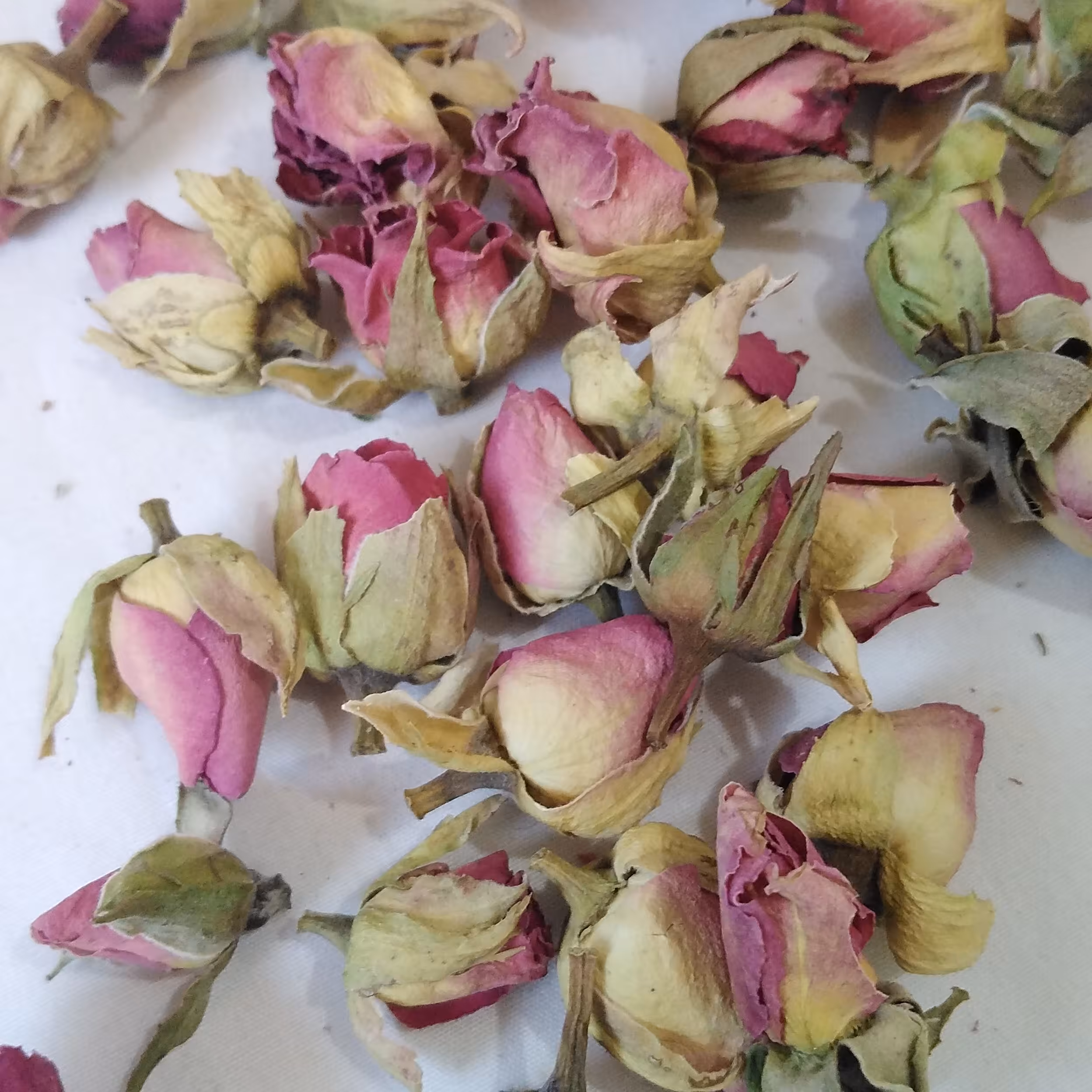 گل خشک غنچه رز سرخابی مناسب برای شمعسازی و رزین و کارهای هنری