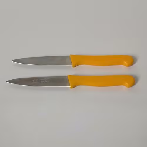 چاقو استیل دم دستی دسته پلاستیکی 2 عددی زنجان