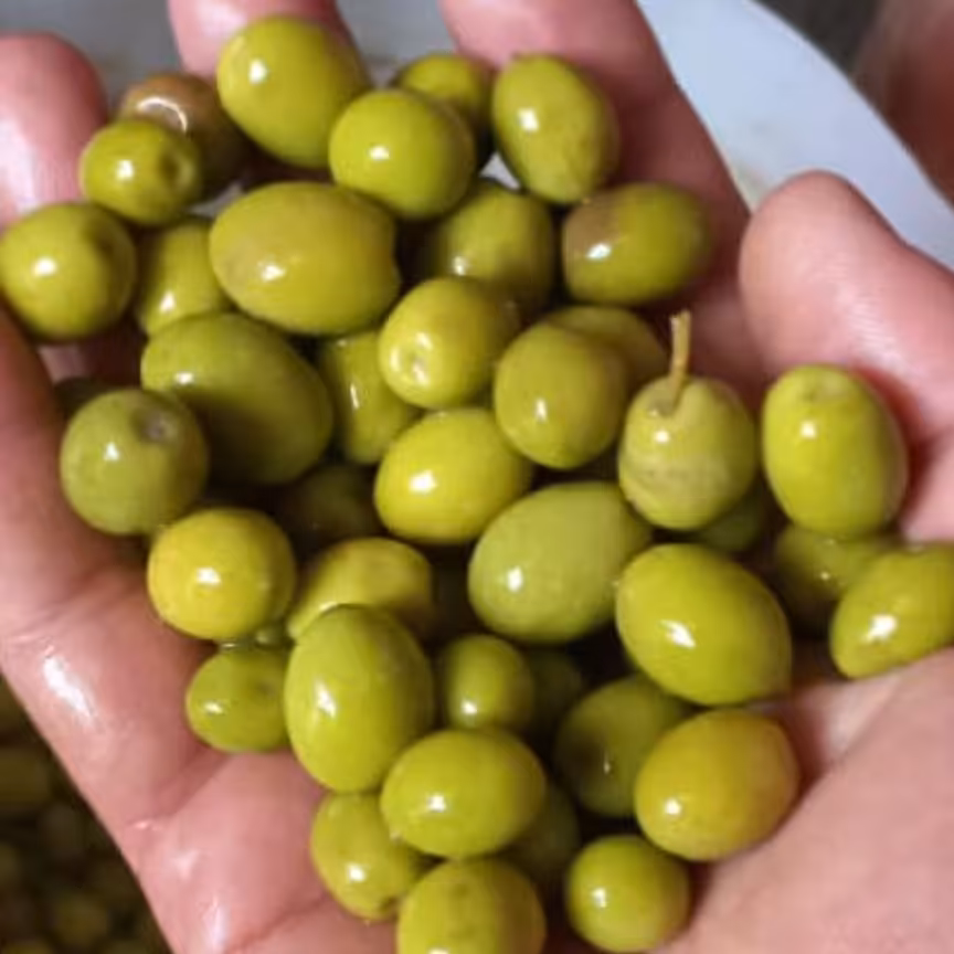 زیتون جنگلی شیرین خوشمزه