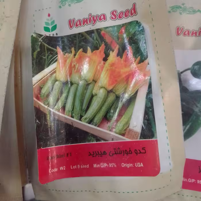 بذر کدو خورشتی هیبرید