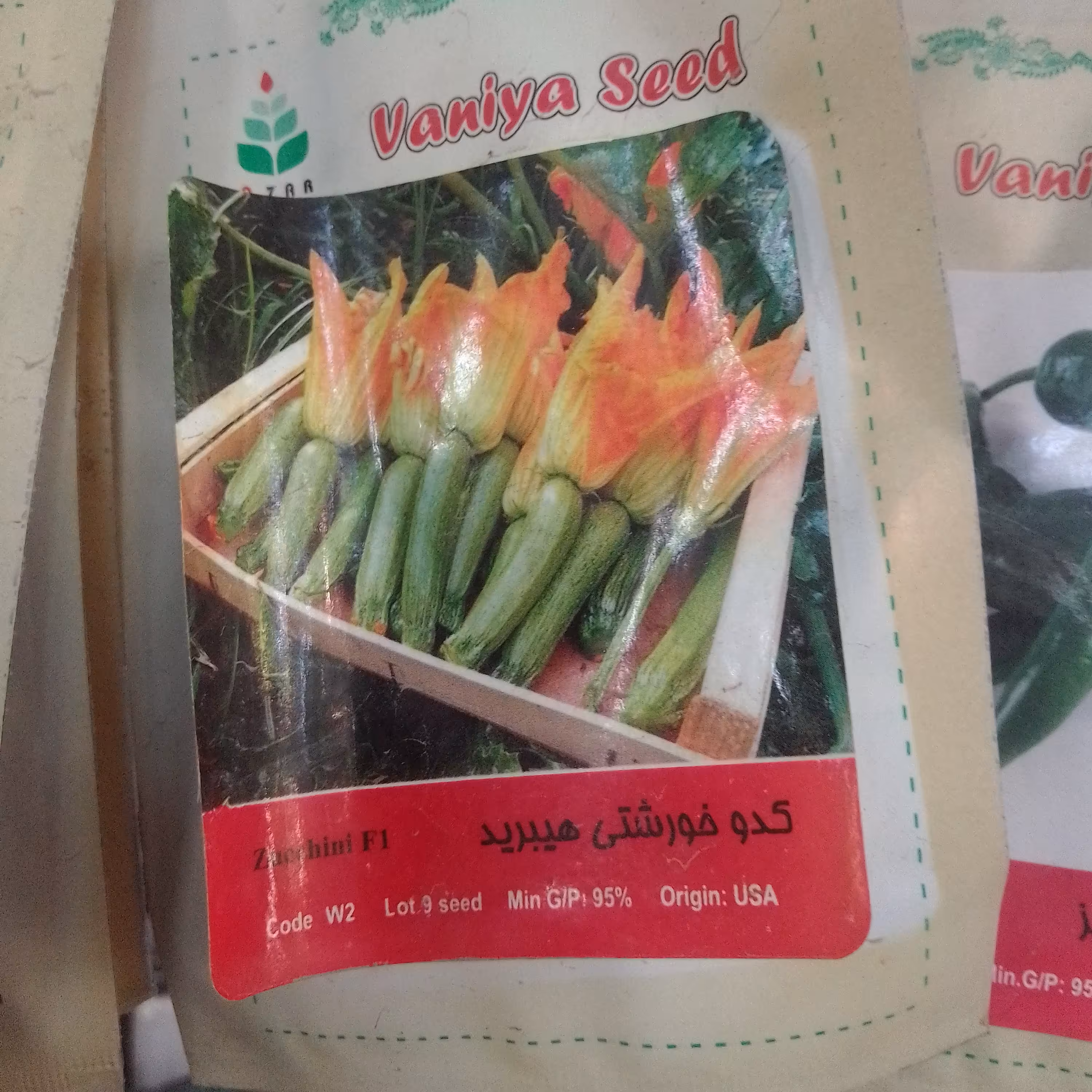 بذر کدو خورشتی هیبرید