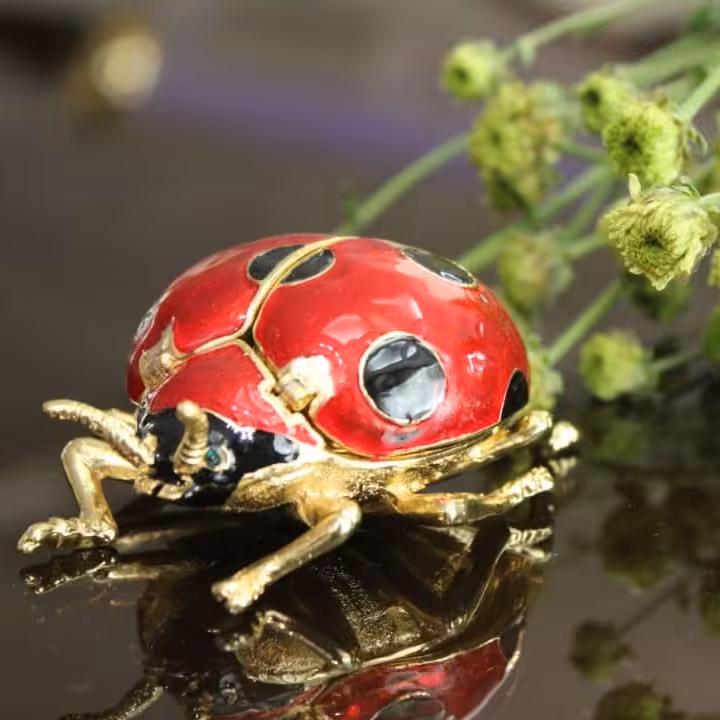 جاجواهری طرح کفشدوزک رنگ قرمز 