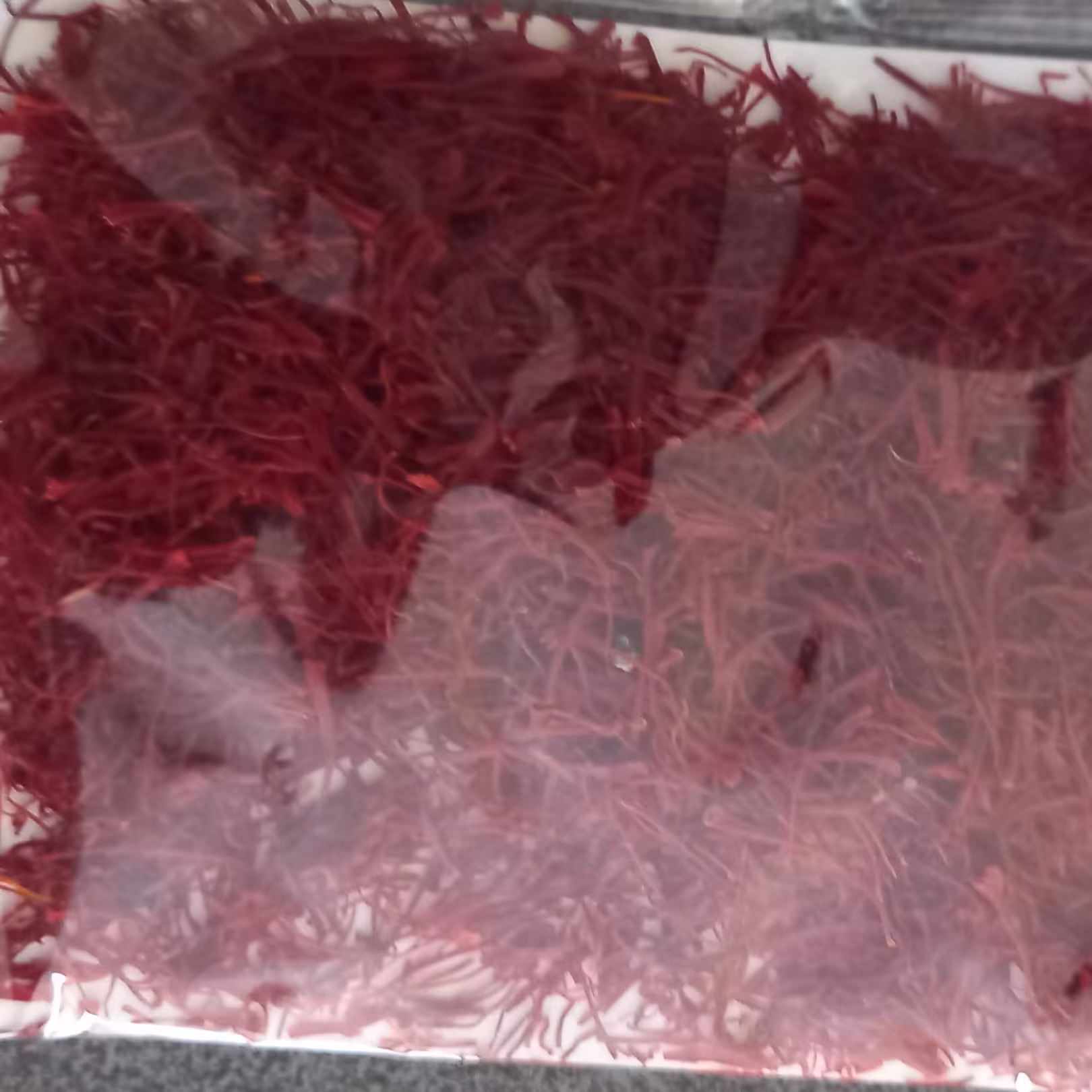 زعفران ممتاز قاین