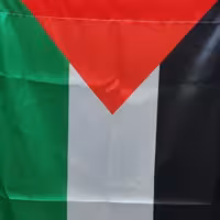 پرچم فلسطین ساتن