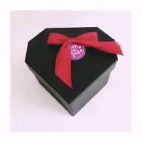 جاسوئیچی چرم طبیعی 15