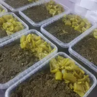 سبزی کرفس شمالی(داخل یخدون ارسال میشه و50تومن بابت یخدون از مشتری گرفته میشود) (پس کرایه)