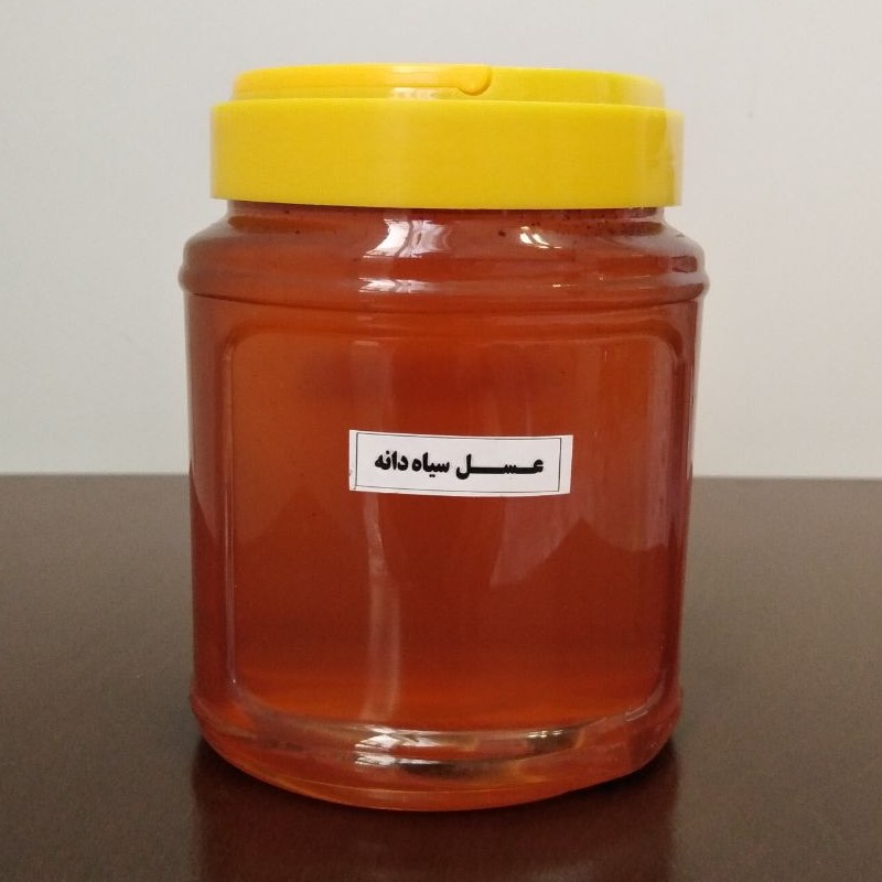 عسل سیاه دانه طبیعی ( 1 کیلو )