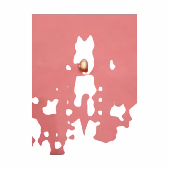 ممک 8 لوله گاز