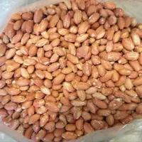 بادام زمینی تازه دو کیلویی آستانه اشرفیــــــه ارسال رایگـــــان