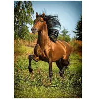 کد 26050 - نخ و نقشه کامپیوتری تابلو فرش عرشیان طرح حیوانات و پرندگان - اسب