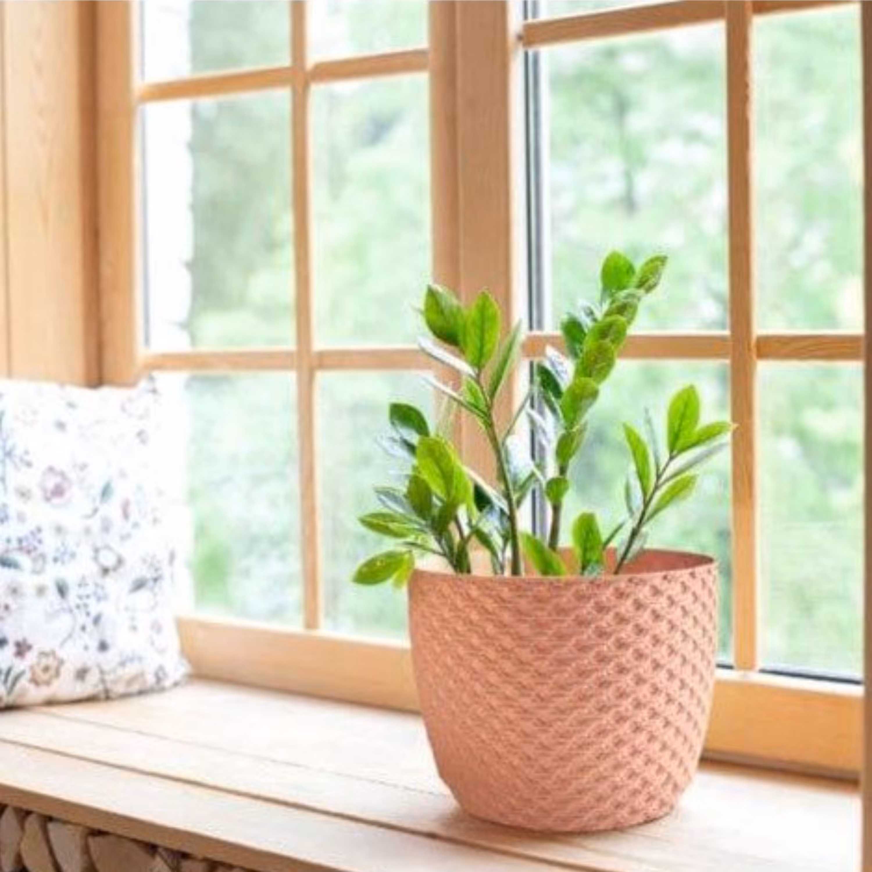 گلدان بافت پلینیک سایز 1- پلاسکو الماس