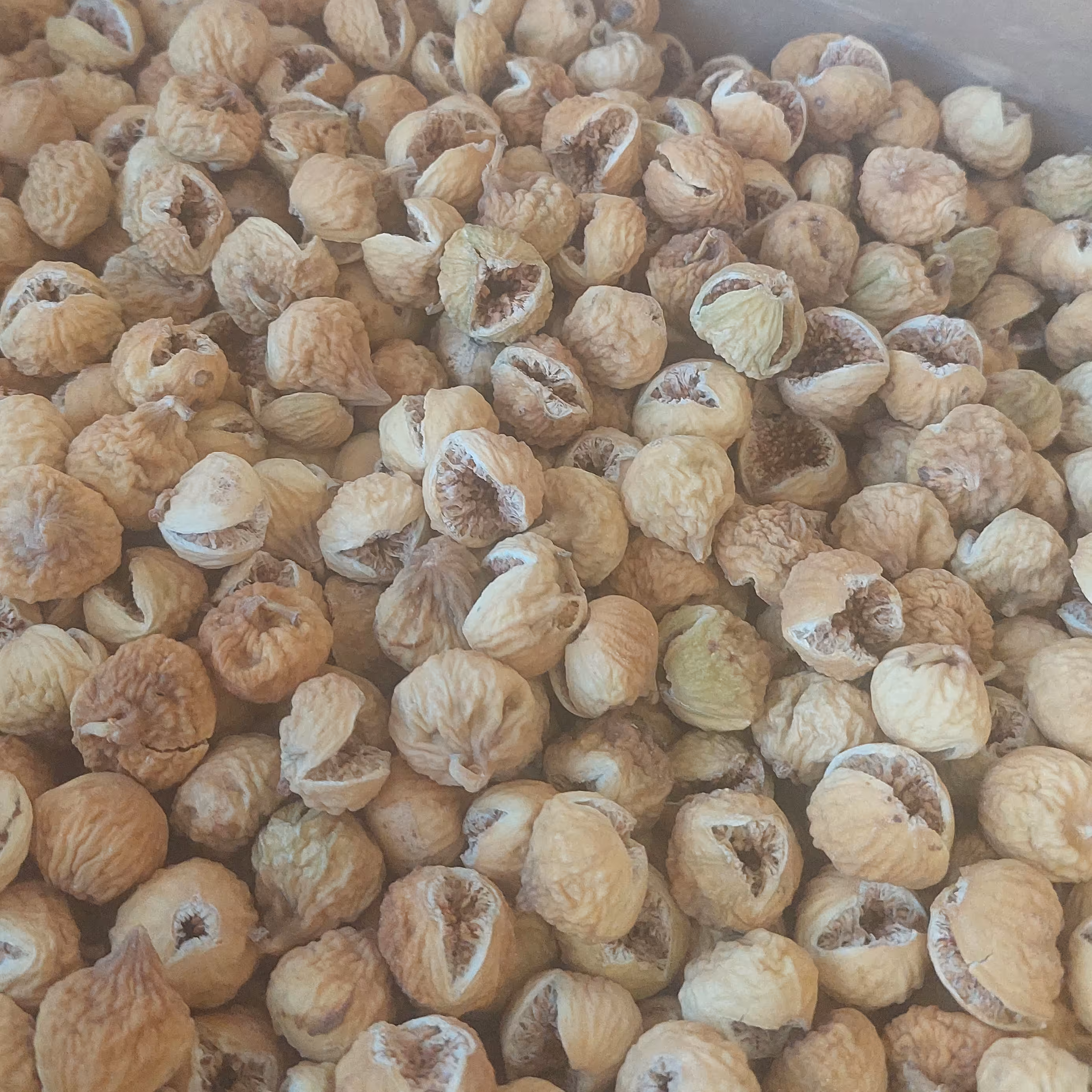 انجیر استهبان