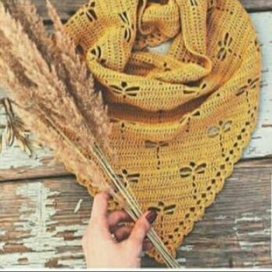 اشارپ پروانه