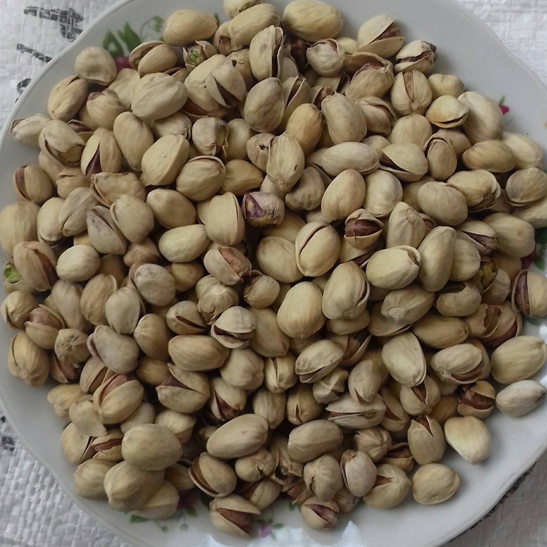 پسته کله قوچی نخودو (500 گرمی ریز)پسته امساله با کد تخفیف 20 درصدی app555