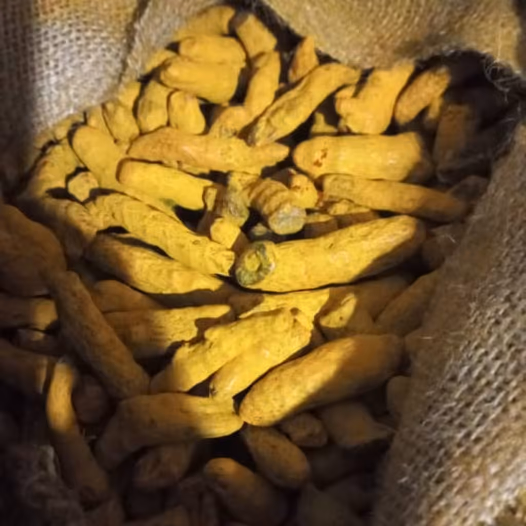 زردچوبه قلم توبک کیلویی 85 هزار تومان