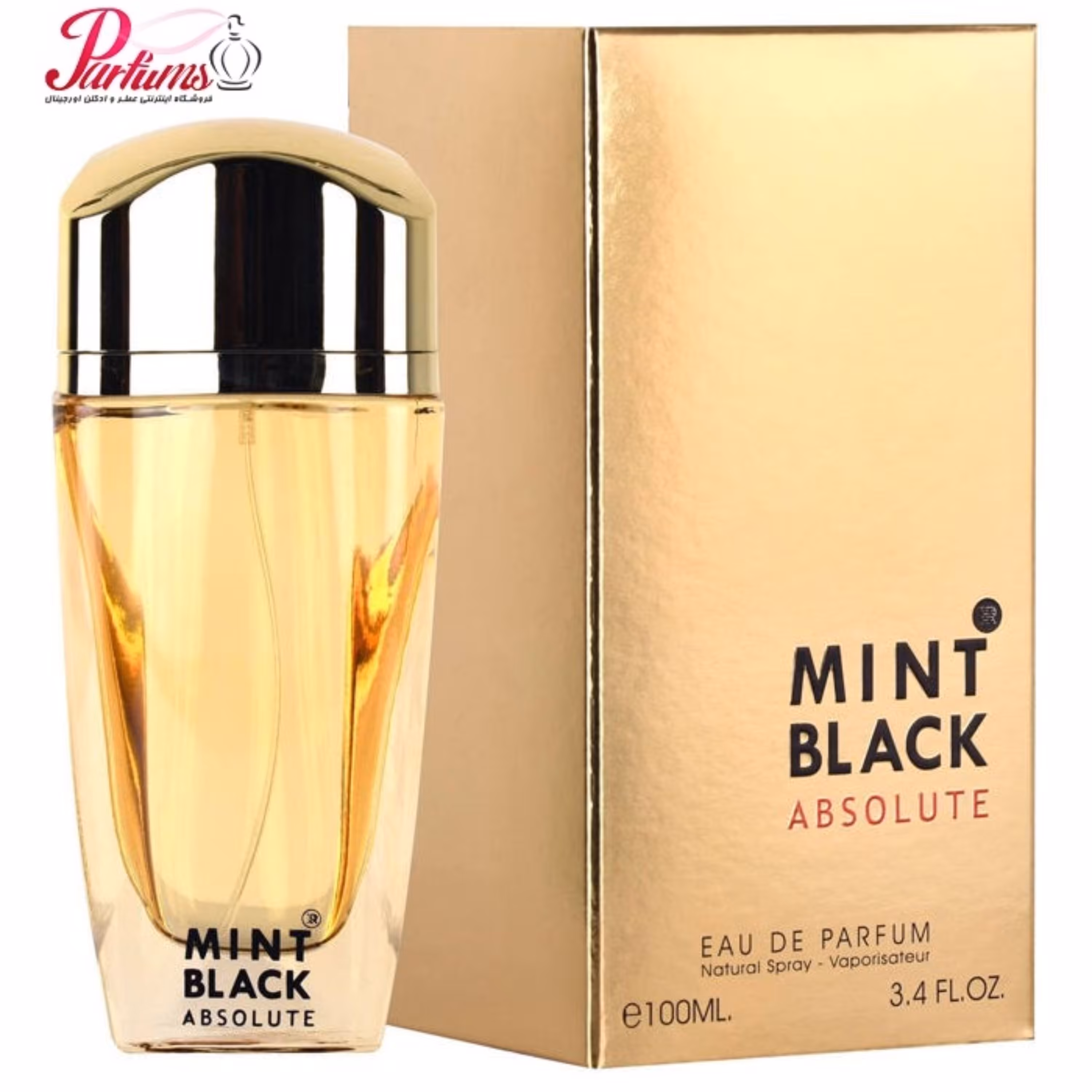 ادکلن روینا آبسولوت ROVENA MINT BLACK ABSOLUTE(رایحه ادکلن مونت بلنک امبلم ابسولو Mont Blanc Emblem Absolu)