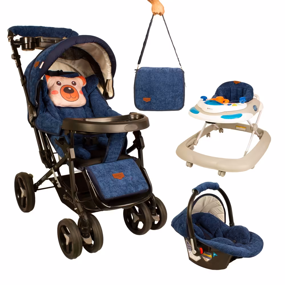 سرویس کالسکه دلیجان مدل viula3