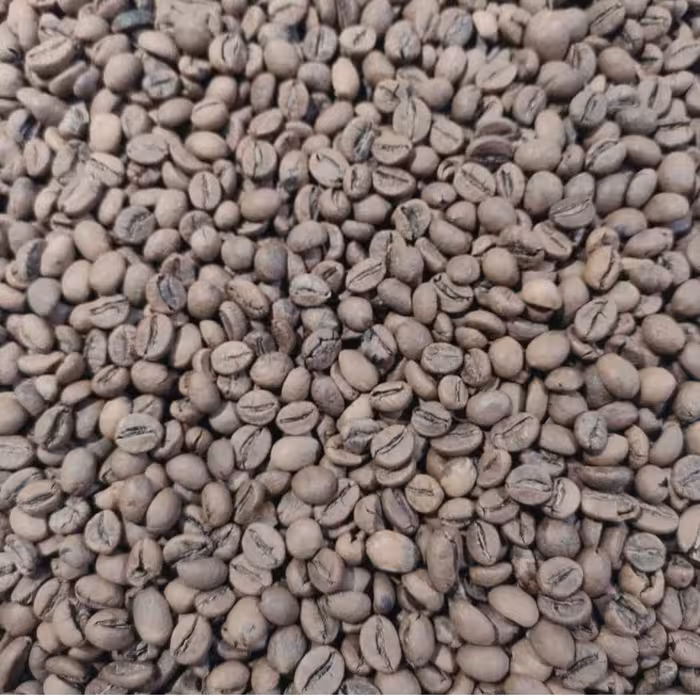 قهوه لایت کم کافئین مخصوص بانوان و قشر حساس به کافئین یک کیلوگرمی 