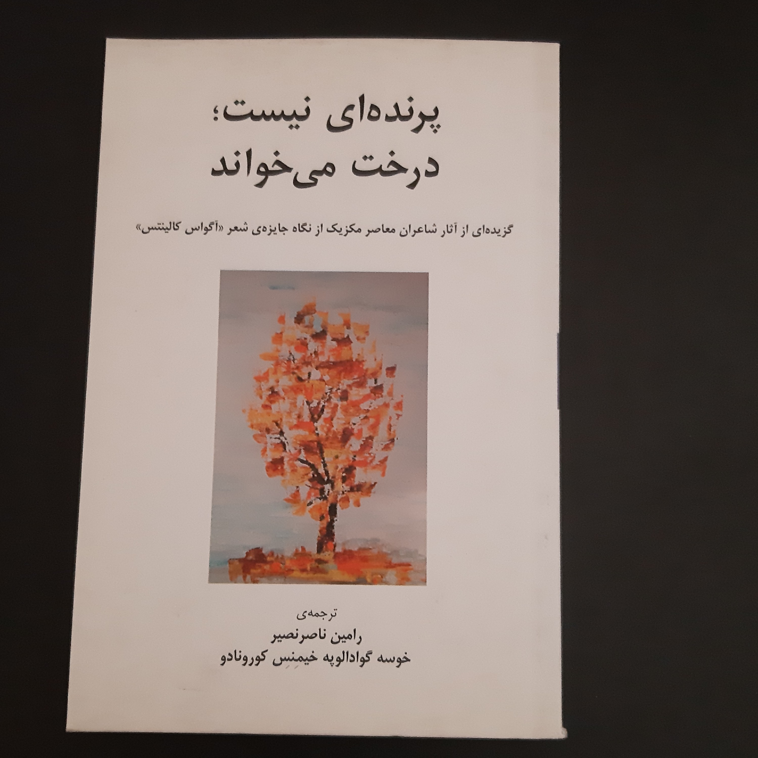 کتاب پرنده ای نیست درخت میخواند