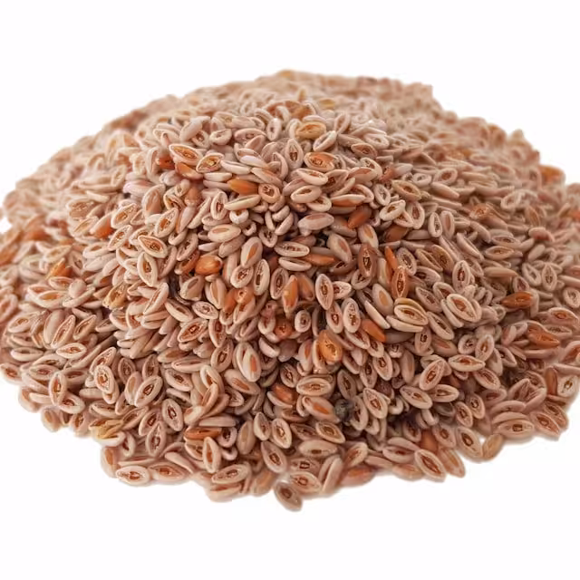 اسفرزه (تخم سفید)100گرمی
