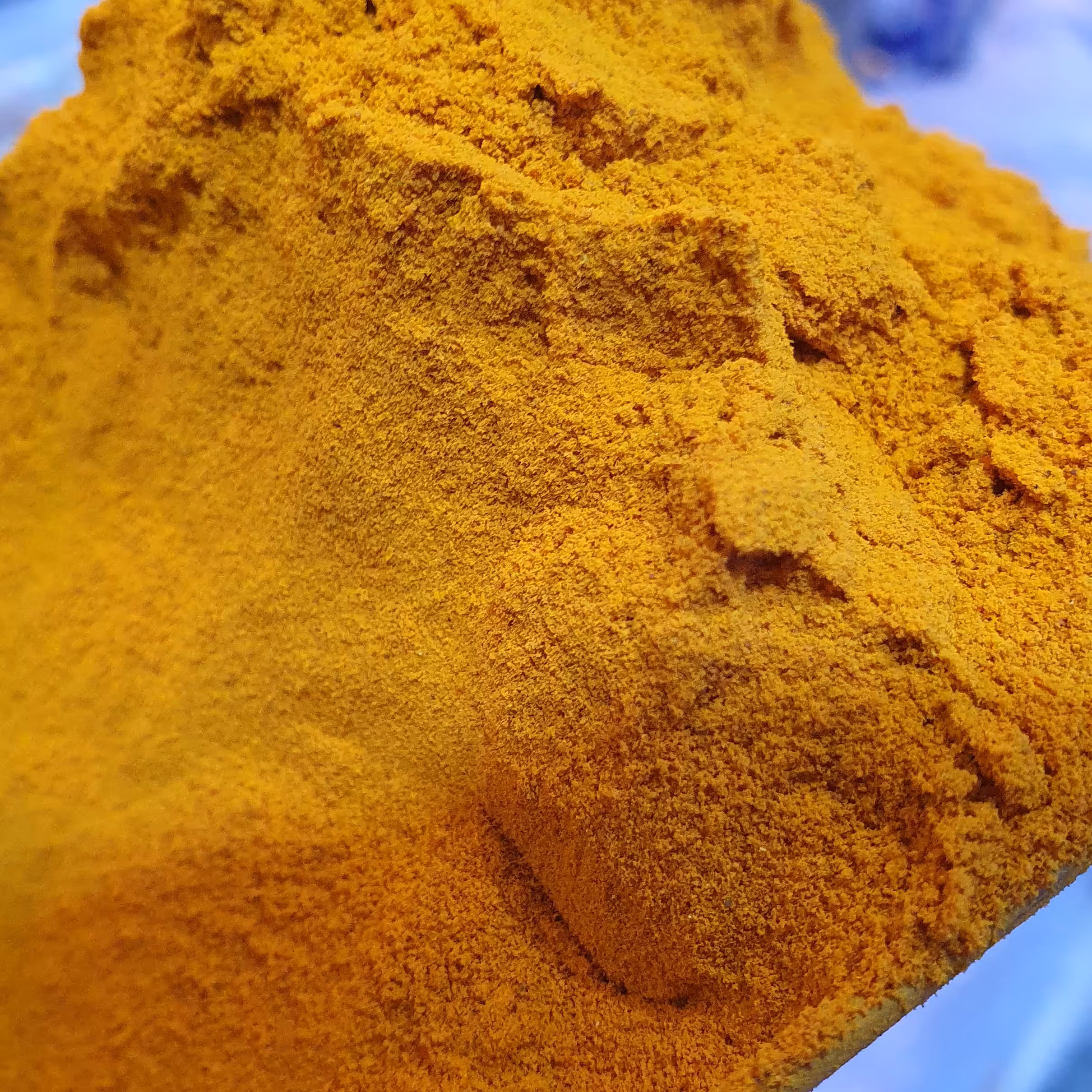 زردچوبه هندی