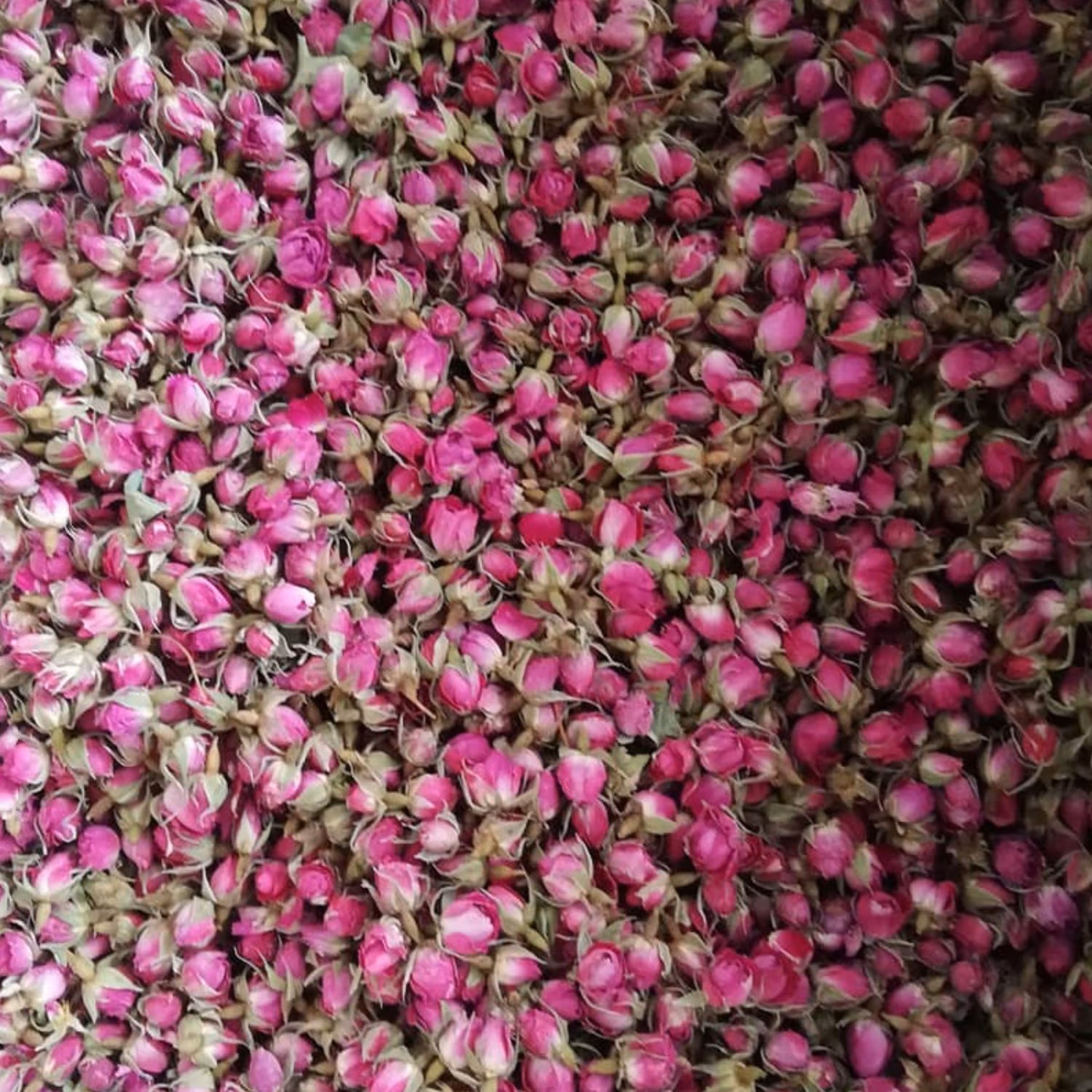 غنچه گل محمدی اعلاء 50 گرمی