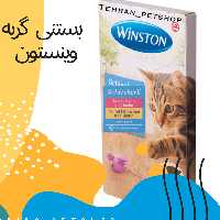 بستنی گربه وینستون طعم ماهی سالمون ( 15 گرمی )