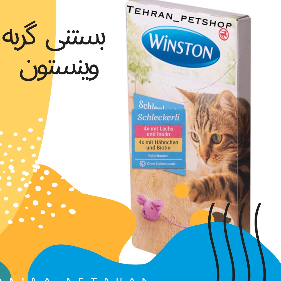بستنی گربه وینستون طعم ماهی سالمون ( 15 گرمی )
