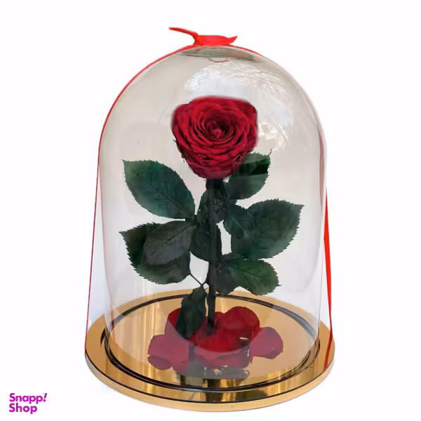 گل جاودان گل آنلاین مدل دیو‌ و دلبر رنگ قرمز