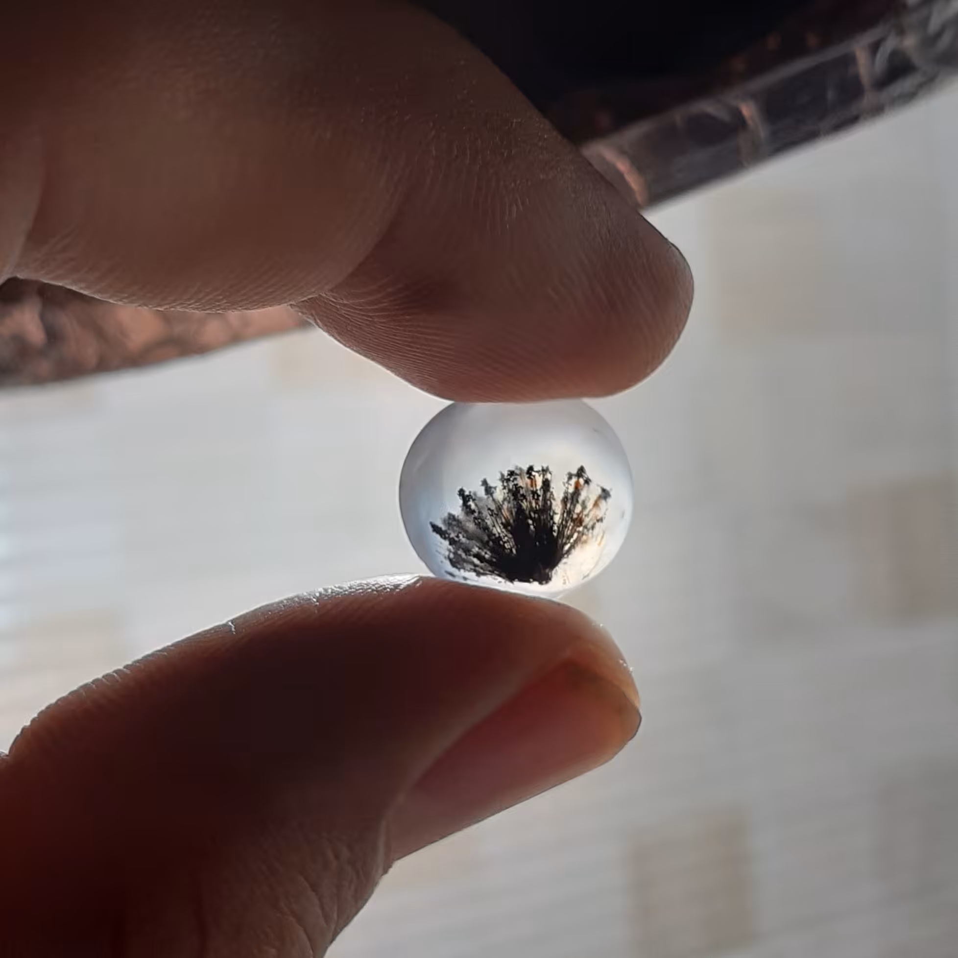 شجر طبیعی و معدنی تک درخت با زمینه سفید 