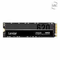 اس اس دی لکسار ظرفیت 256GB مدل NM620