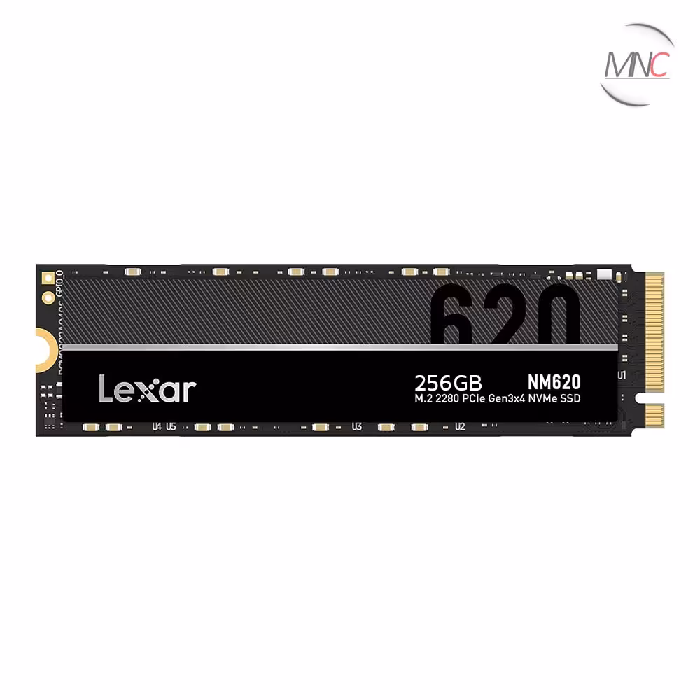 اس اس دی لکسار ظرفیت 256GB مدل NM620
