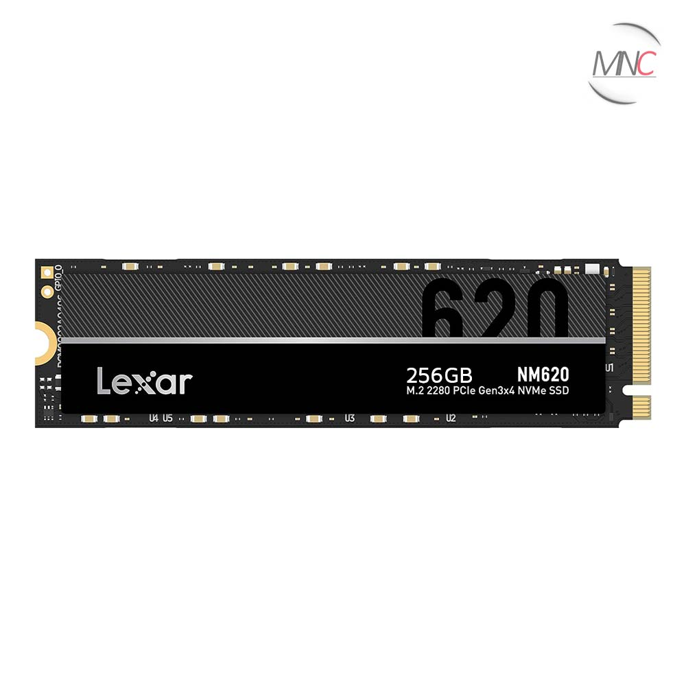 اس اس دی لکسار ظرفیت 256GB مدل NM620