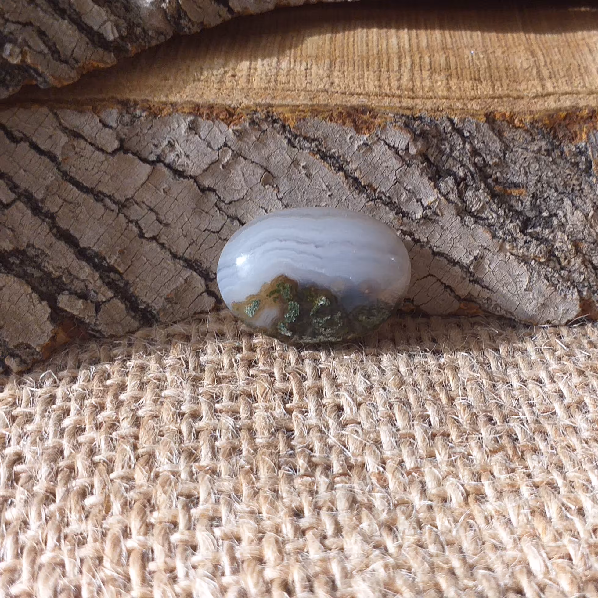 عقیق شجر منظره  خزه ای کلکسیونی