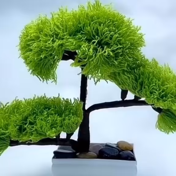 درختچه ی کاموایی