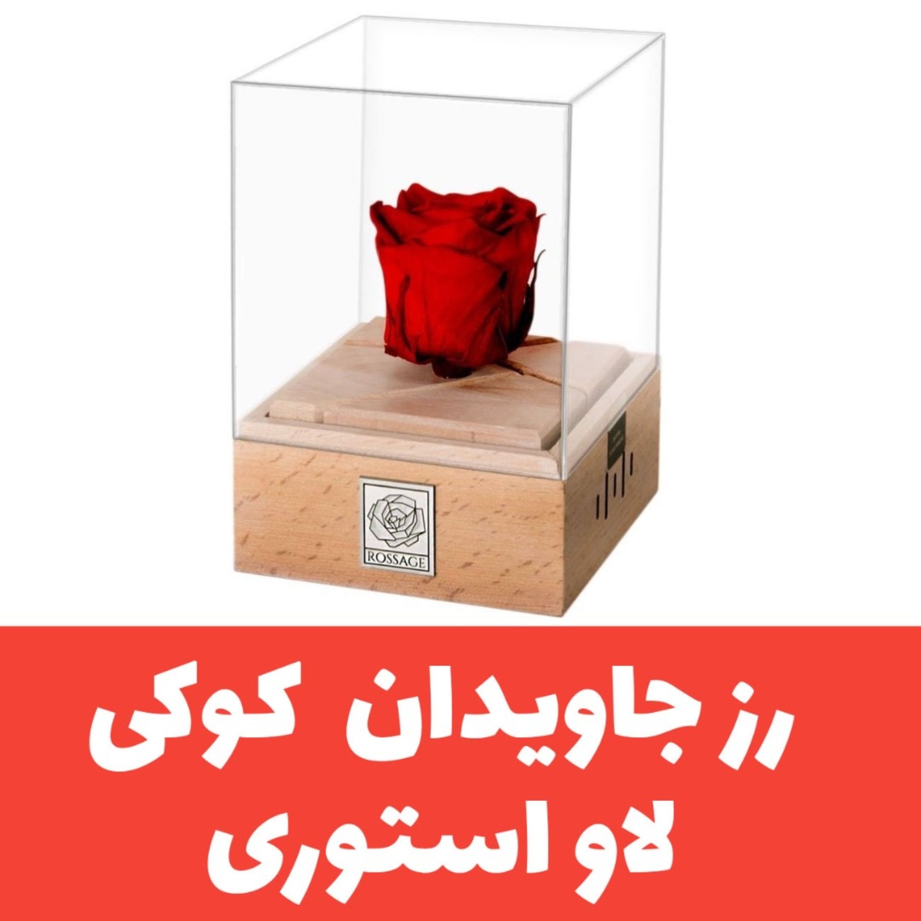 خریدگل رز جاودان موزیکال کوکی ملودی لاو استوری همراه با جعبه و ساک دستی (پس کرایه)