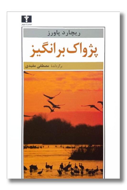 کتاب پژواک برانگیز