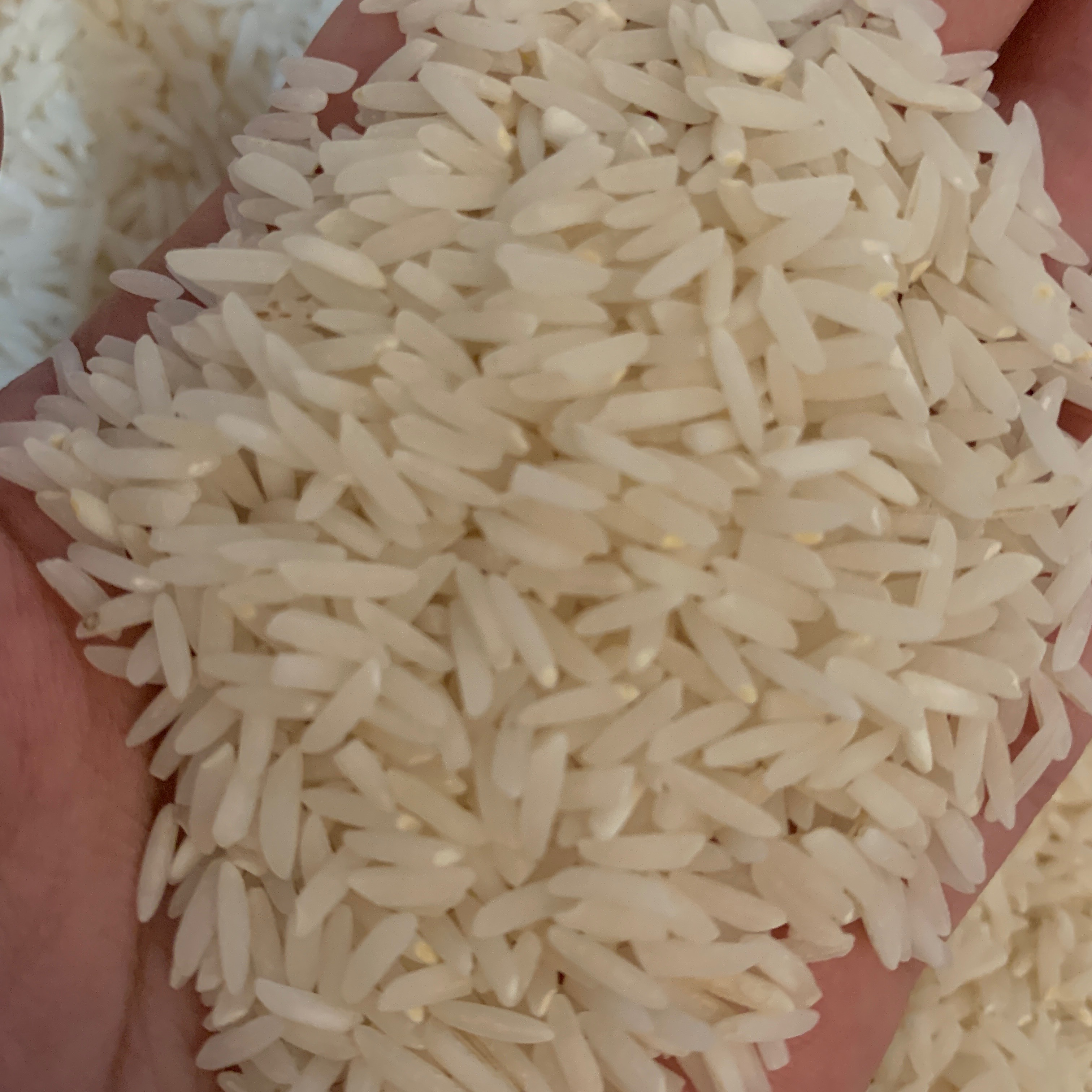 برنج معطر گیلانی 5کیلویی