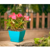 گلدان مربع پلاستیکی متوسط کد 012 برند گل آذین