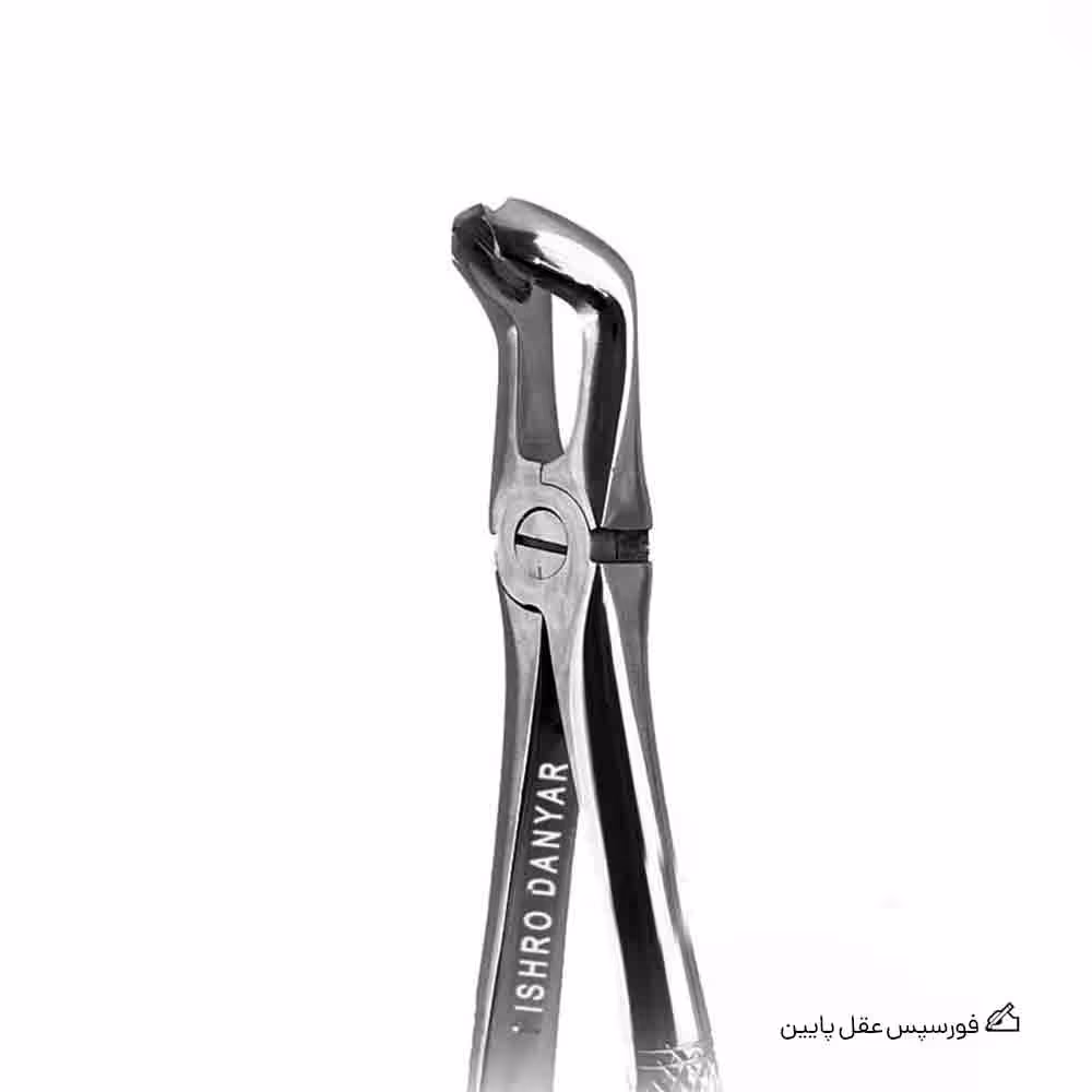 فورسپس عقل پایین