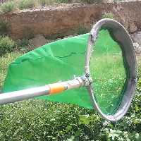 توری حشره گیری، تور  پروانه گیری، تور  حشره، توری شکار حشرات  با  شرایط سفارش شما 