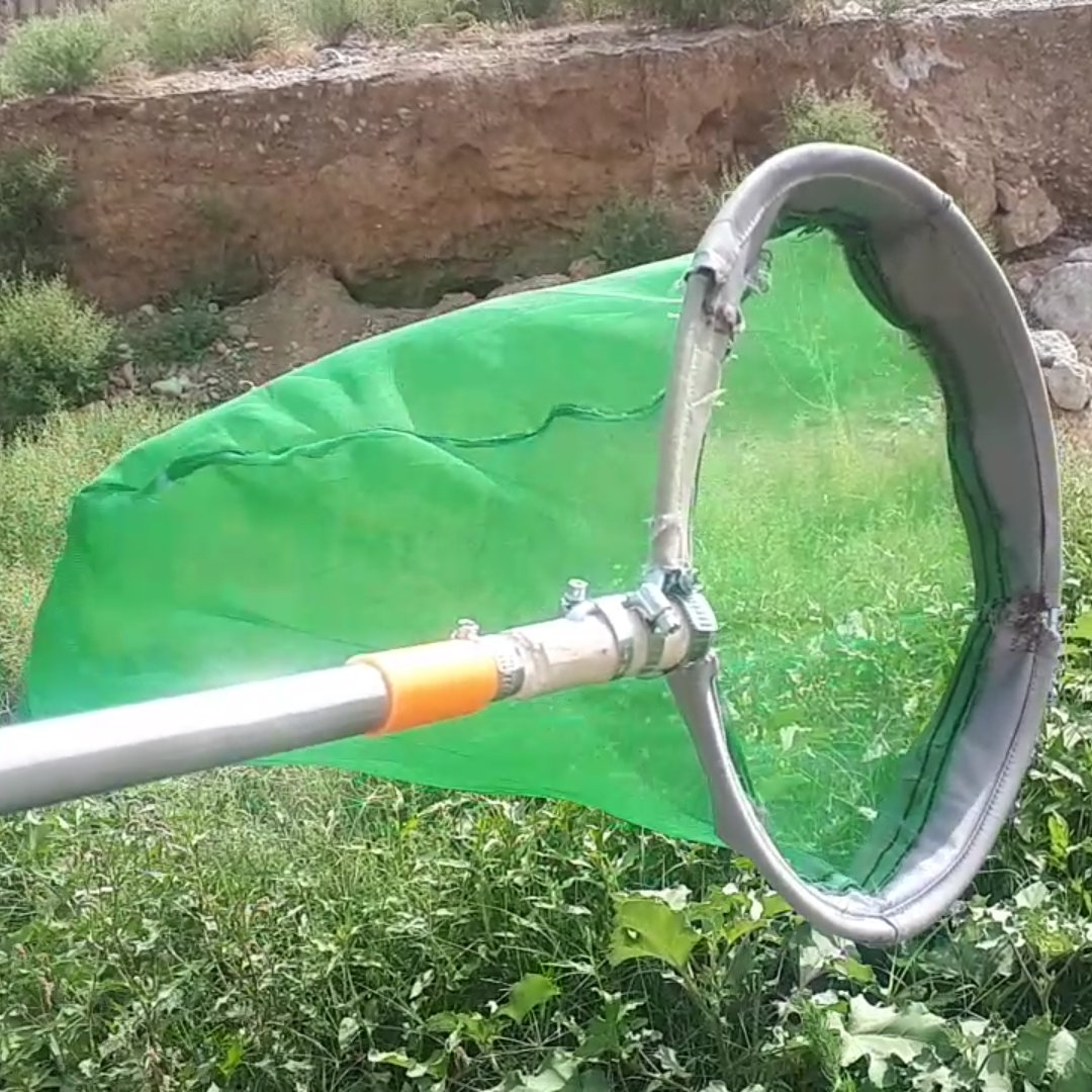 توری حشره گیری، تور  پروانه گیری، تور  حشره، توری شکار حشرات  با  شرایط سفارش شما 