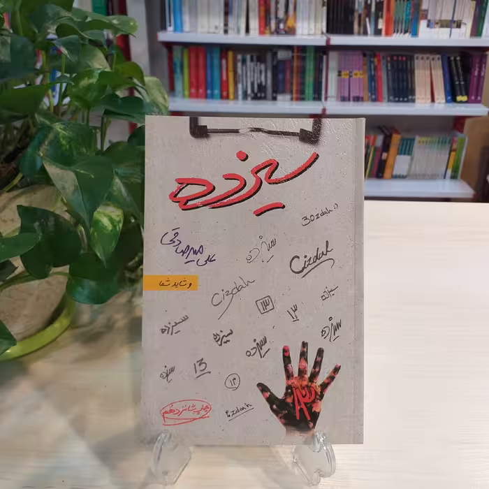 کتاب سیزده از علی میرصادقی انتشارات بارسا  