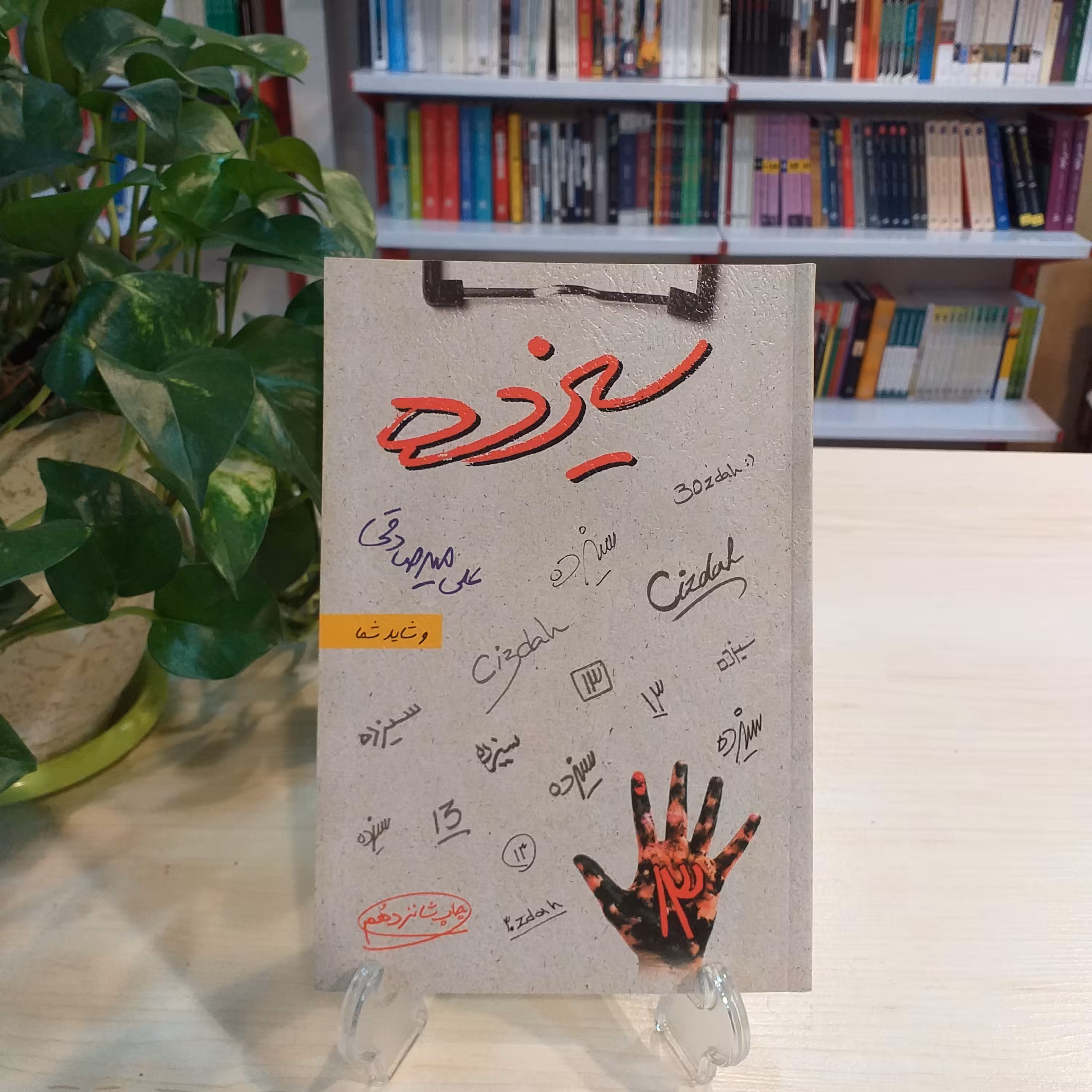 کتاب سیزده از علی میرصادقی انتشارات بارسا  