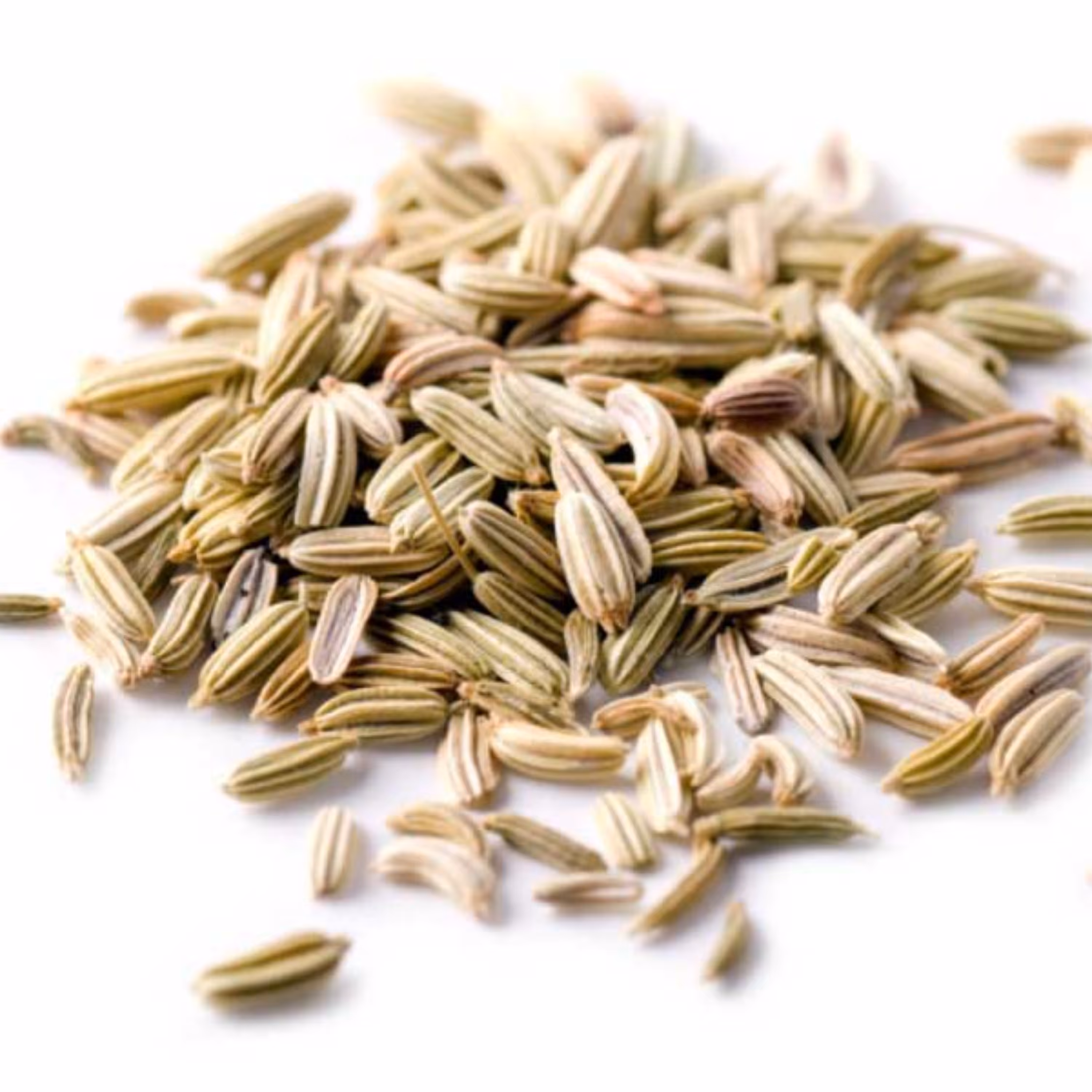 پودر رازیانه 1000 گرم (بادیان)