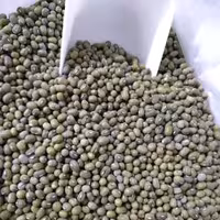 ماش سبز خوشپخت پاک شده تمیز درجه یک ( کیفیت تضمینی)