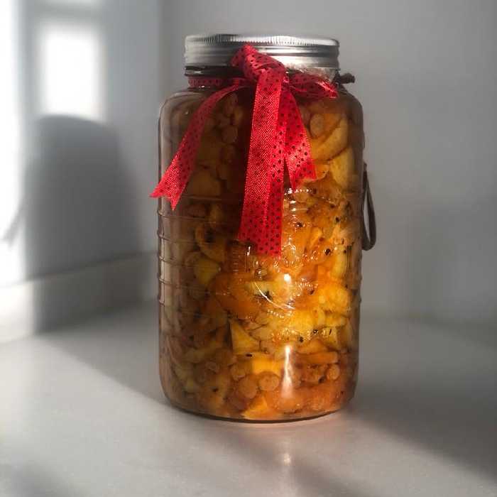 ترشی انبه زردآلو و کشمش