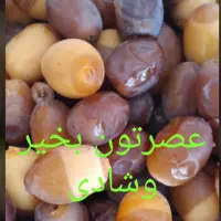 میوه درخت نخل (رطب)