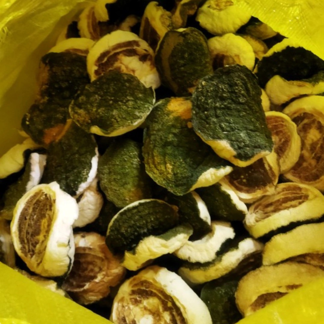 بالنگ بار درشت اعلا (10 کیلویی)